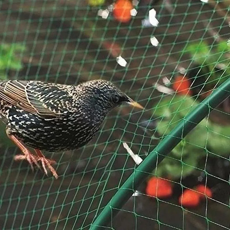 Schützen Sie Ihre Pflanzen, Früchte, Bäume und Gemüse mit einem 1-teiligen Vogelschutznetz, Hirschzaun-Teichnetz!