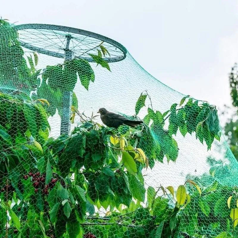 Schützen Sie Ihre Pflanzen, Früchte, Bäume und Gemüse mit einem 1-teiligen Vogelschutznetz, Hirschzaun-Teichnetz!