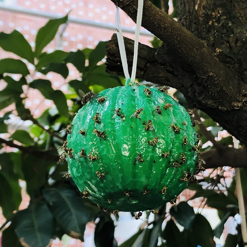 6-teilige Fliegenfalle: Halten Sie Ihr Haus, Ihren Garten und Ihren Bauernhof frei von Schädlingen!