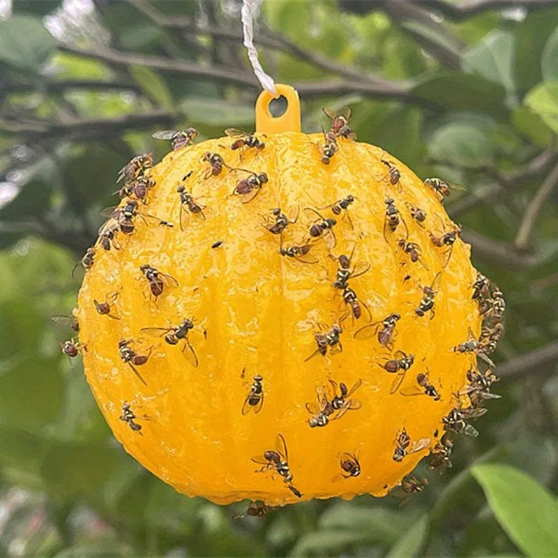 6-teilige Fliegenfalle: Halten Sie Ihr Haus, Ihren Garten und Ihren Bauernhof frei von Schädlingen!
