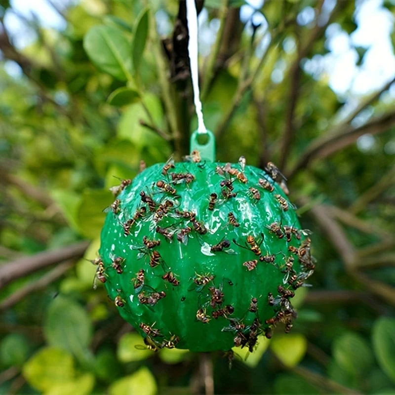 6-teilige Fliegenfalle: Halten Sie Ihr Haus, Ihren Garten und Ihren Bauernhof frei von Schädlingen!
