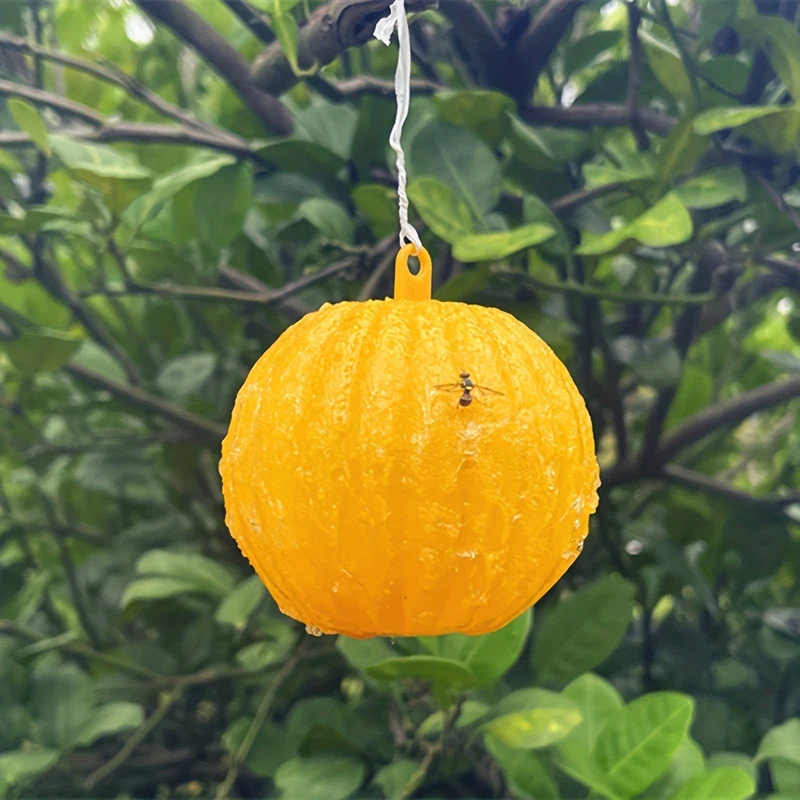 6-teilige Fliegenfalle: Halten Sie Ihr Haus, Ihren Garten und Ihren Bauernhof frei von Schädlingen!