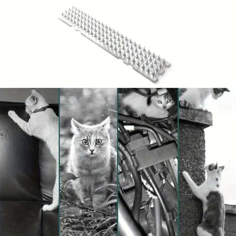 4 Stück, transparente Kunststoff-Anti-Katzen-Dorn-Vogelschutznägel, geeignet für den Innen- und Außenbereich, um Tauben und Eichhörnchen fernzuhalten
