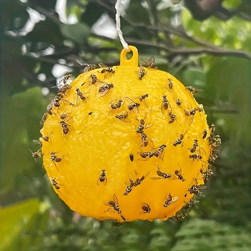 1 Stück niedliche Klebefallen im Kugeldesign: Fangen Sie Fruchtfliegen, Mücken und andere fliegende Insekten im Innen- und Außenbereich ein