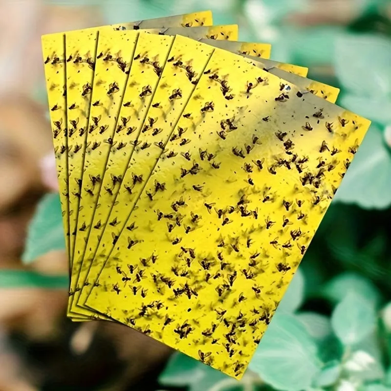 50/100 Stück doppelseitige Fluginsektenfallen für Gärten und Bauernhöfe. Entfernt effektiv kleine Fluginsekten und Fruchtfliegen und verbessert so die Fangeffizienz