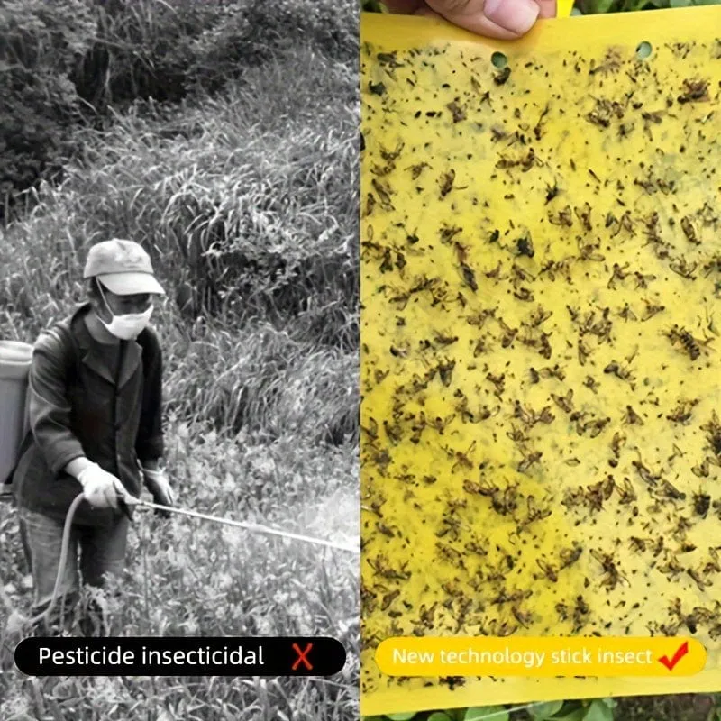 50/100 Stück doppelseitige Fluginsektenfallen für Gärten und Bauernhöfe. Entfernt effektiv kleine Fluginsekten und Fruchtfliegen und verbessert so die Fangeffizienz