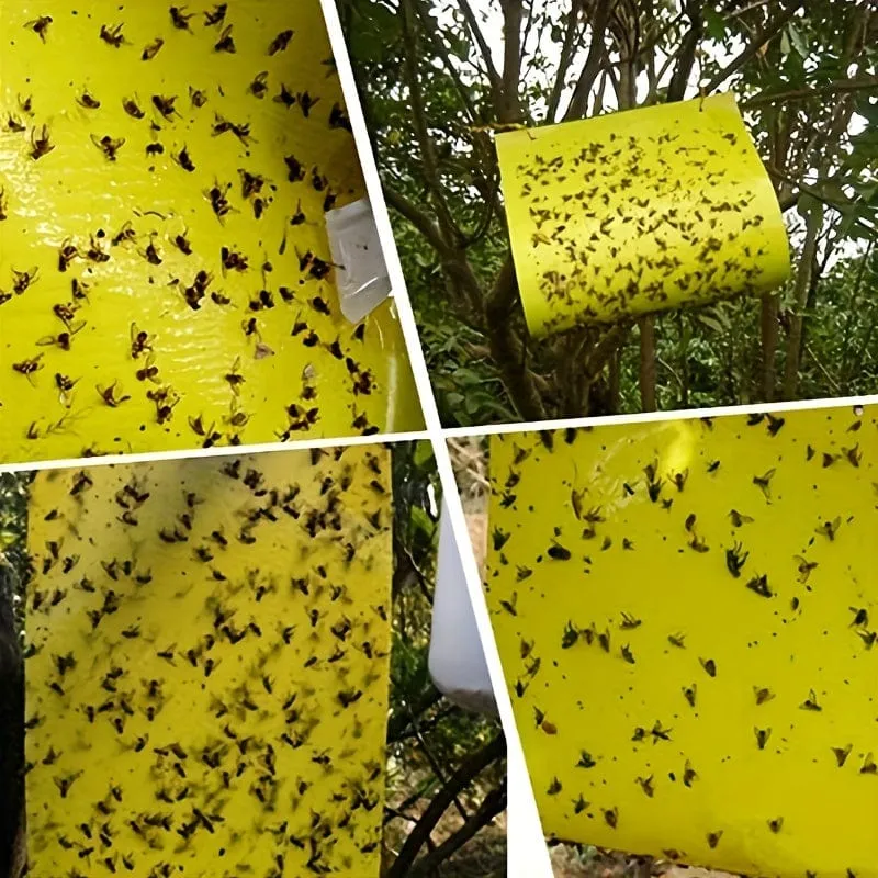 50/100 Stück doppelseitige Fluginsektenfallen für Gärten und Bauernhöfe. Entfernt effektiv kleine Fluginsekten und Fruchtfliegen und verbessert so die Fangeffizienz