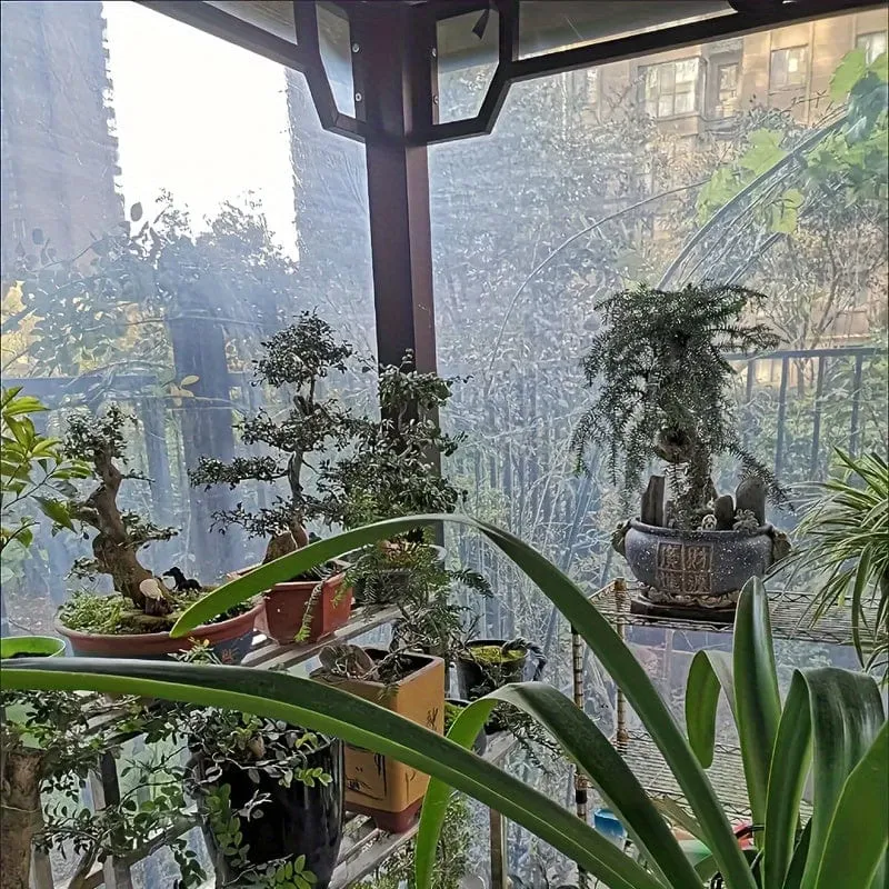 1 Stück transparente Plane mit verstärkten Gommets, wasserdichte Planenabdeckung für Gewächshaus, Balkon, Garten, Terrasse, Veranda, Überdachung, Camping, Outdoor-Zeltabdeckung