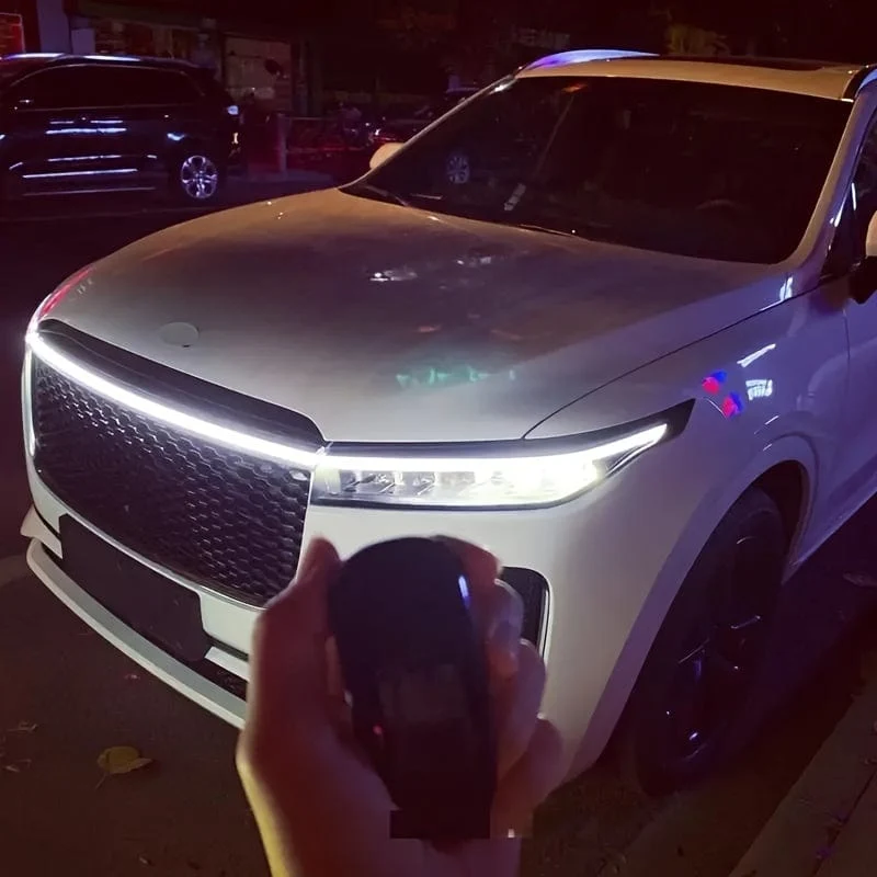 Hauben-dekoratives Lichtgitter, LED-modifiziertes Licht, Autotyp-Lichter