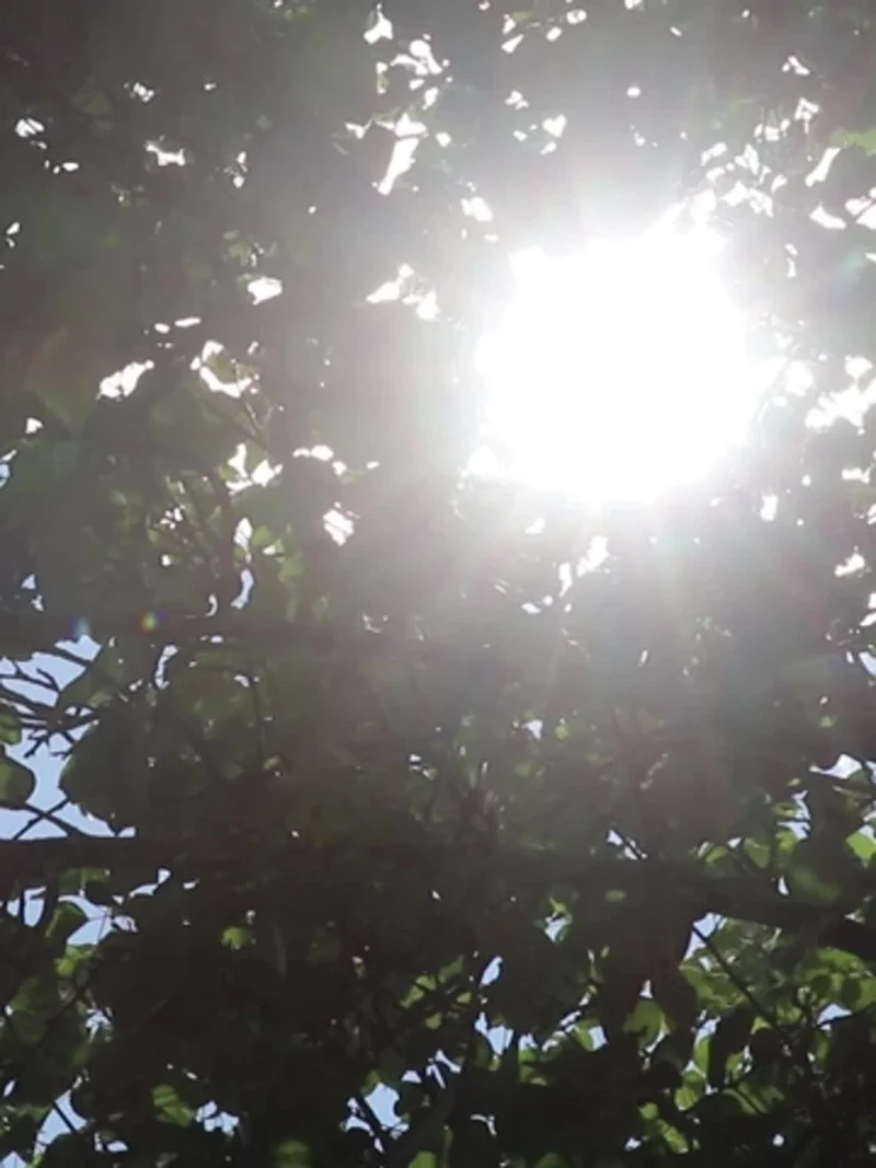 Auto-Windschutzscheiben-Sonnenschutz, faltbarer Auto-Regenschirm-Sonnenschutz, Anti-Ultraviolett-Auto-Frontscheibe (Hitzeschutz), Windschutzscheiben-Abdeckungskarte