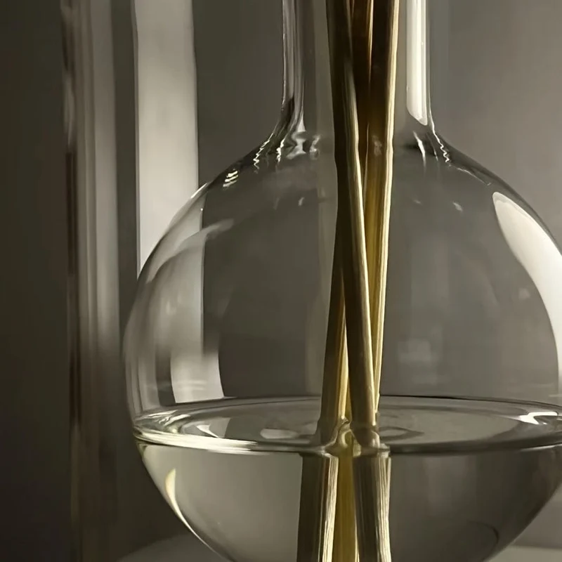 1 Stück Schlichte leichte Luxus-Aromatherapieflasche, Glasflasche, Ätherisches Ölfläschchen im druckfreien Stil, Aromatherapieflasche, schlichte Diffusorflasche, Vase