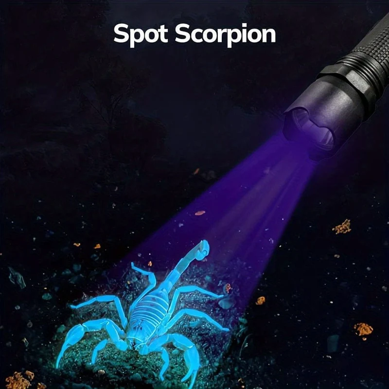 1 Stück LED-UV-Taschenlampe, UV-Taschenlampen, 395 nm Haustier-Urinflecken-Detektorlampe, tragbares Schwarzlicht, USB-betrieben