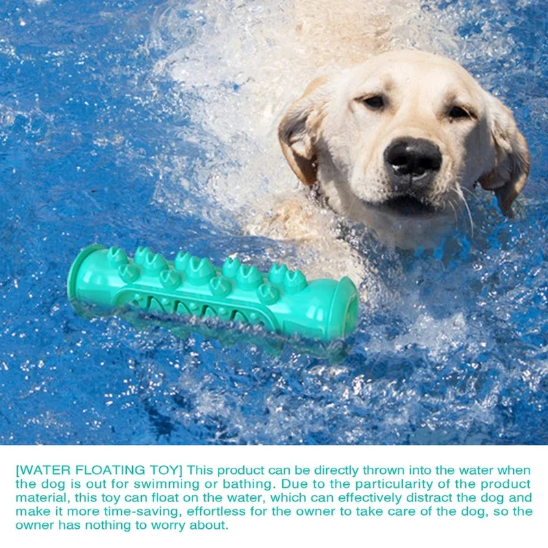 Hund Molaren Zahnbürste Stick Spielzeug Für Kleine Große Hunde Katze Zahn Reinigung Welpen Kauen Lustige Interaktive Ausbildung Spielzeug Zubehör
