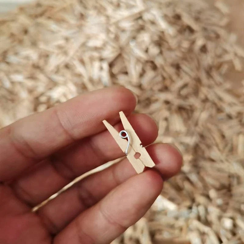 50/100 Stück Mini-Clips aus natürlichem Holz, 25 mm Foto-Clips, Bastel-Dekorations-Clips, Socken, Wäscheklammern, Wäscheklammern für den Haushalt