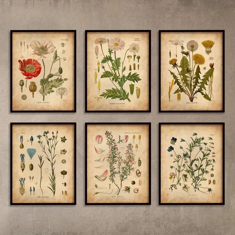 6-teiliges Poster mit botanischen Motiven für die Wand, Vintage-Poster, botanische Drucke, Vintage-Poster, Drucke, Wildblumendrucke, florale Wandkunst, für Heimdekoration/Wohnzimmer/Schlafzimmer/Büro/Hotel/Bar-Dekoration, ohne Rahmen