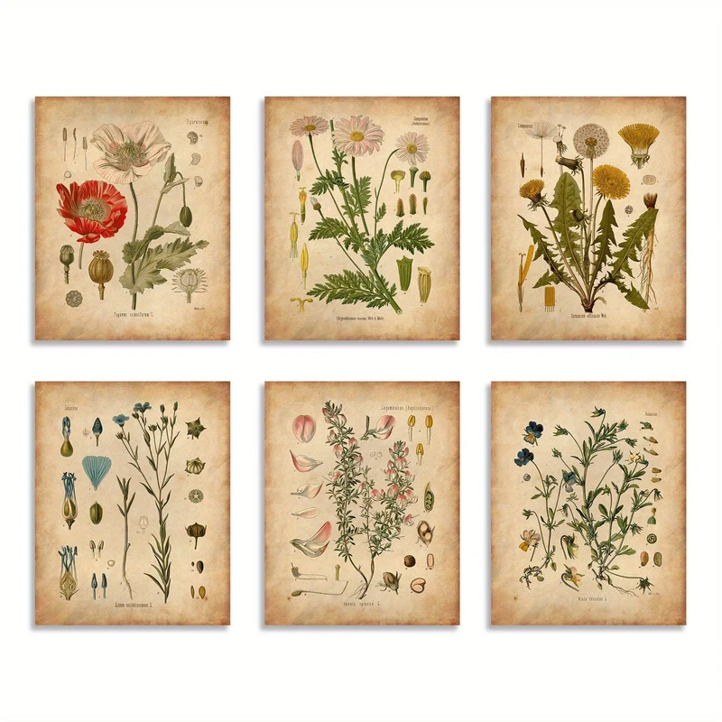 6-teiliges Poster mit botanischen Motiven für die Wand, Vintage-Poster, botanische Drucke, Vintage-Poster, Drucke, Wildblumendrucke, florale Wandkunst, für Heimdekoration/Wohnzimmer/Schlafzimmer/Büro/Hotel/Bar-Dekoration, ohne Rahmen