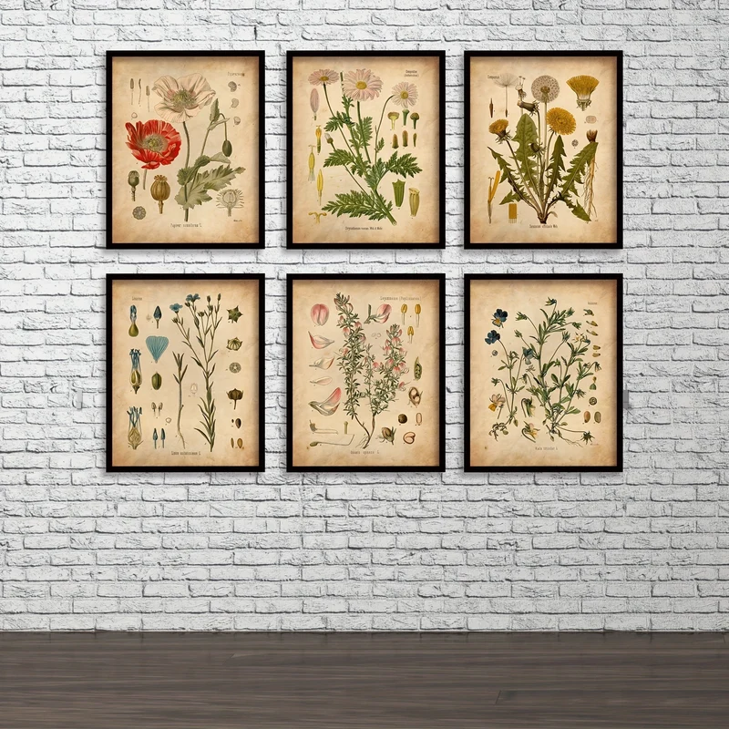 6-teiliges Poster mit botanischen Motiven für die Wand, Vintage-Poster, botanische Drucke, Vintage-Poster, Drucke, Wildblumendrucke, florale Wandkunst, für Heimdekoration/Wohnzimmer/Schlafzimmer/Büro/Hotel/Bar-Dekoration, ohne Rahmen