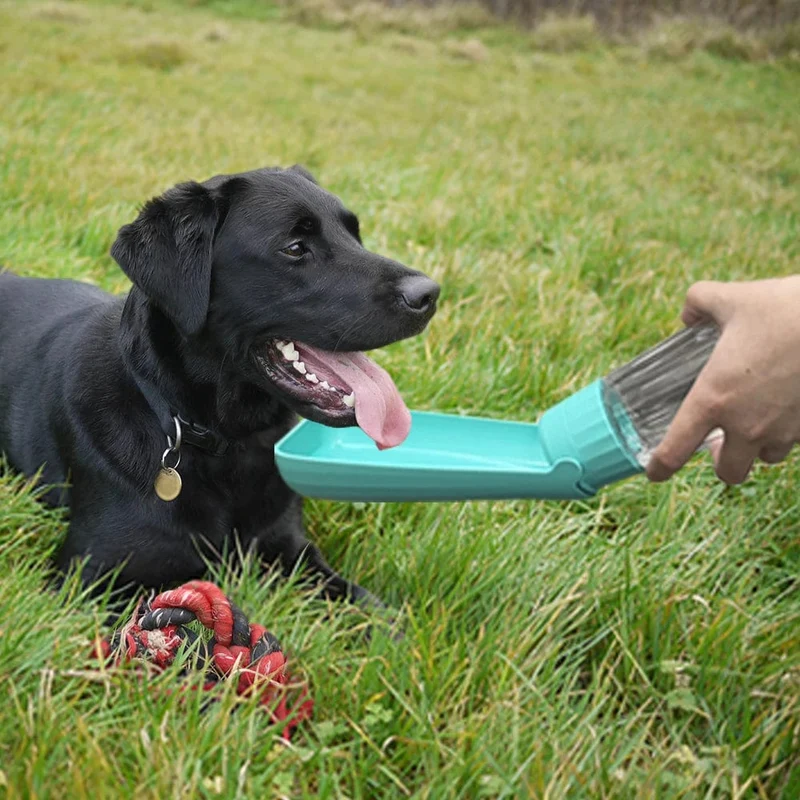 Tragbarer Wasserflaschenspender für Hunde, für kleine und große Hunde, faltbar, für Welpen, Outdoor, Wandern, Trinknapf, französische Bulldogge, Heimtierbedarf