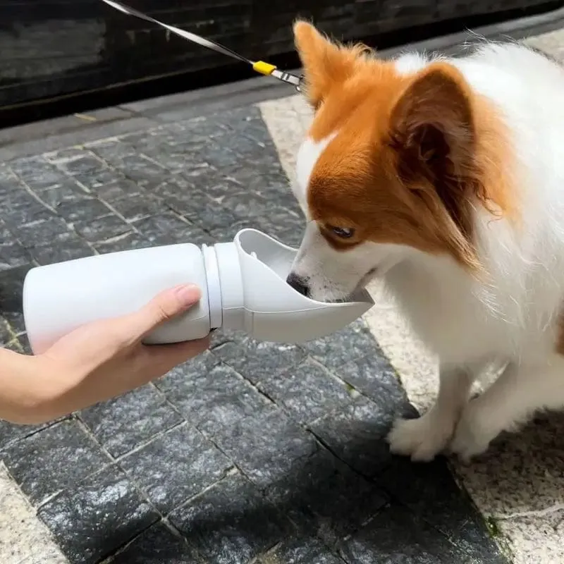 550 ml Falten Haustier Outdoor Walking Becher Tragbare Reise Wasser Flasche Welpen Katzen Hunde Trinkwasser Dispenser Tasse Liefert