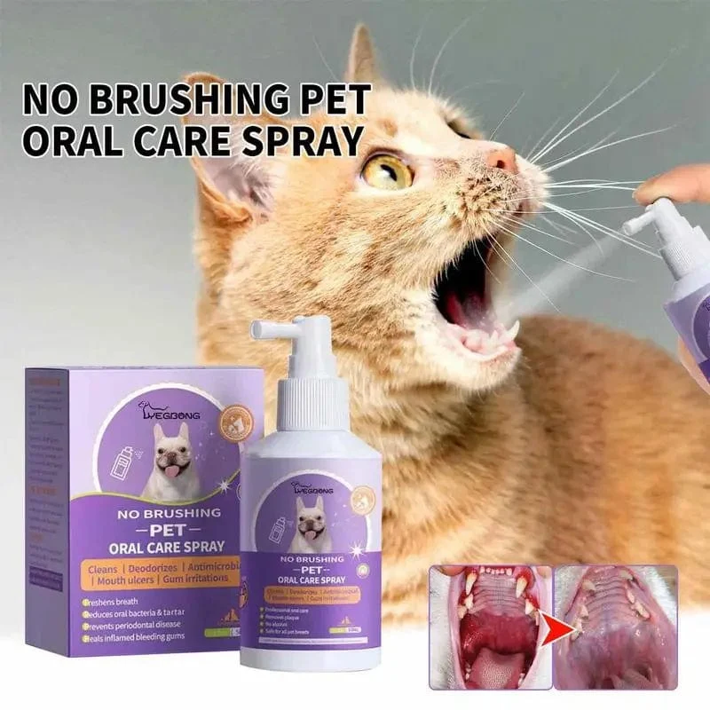 50 ml Pet Oral Cleanse Spray Hunde Katzen Zähne Sauber Deodorant Verhindern Zahnstein Entfernen Kätzchen Mundgeruch Frische Haustier liefert