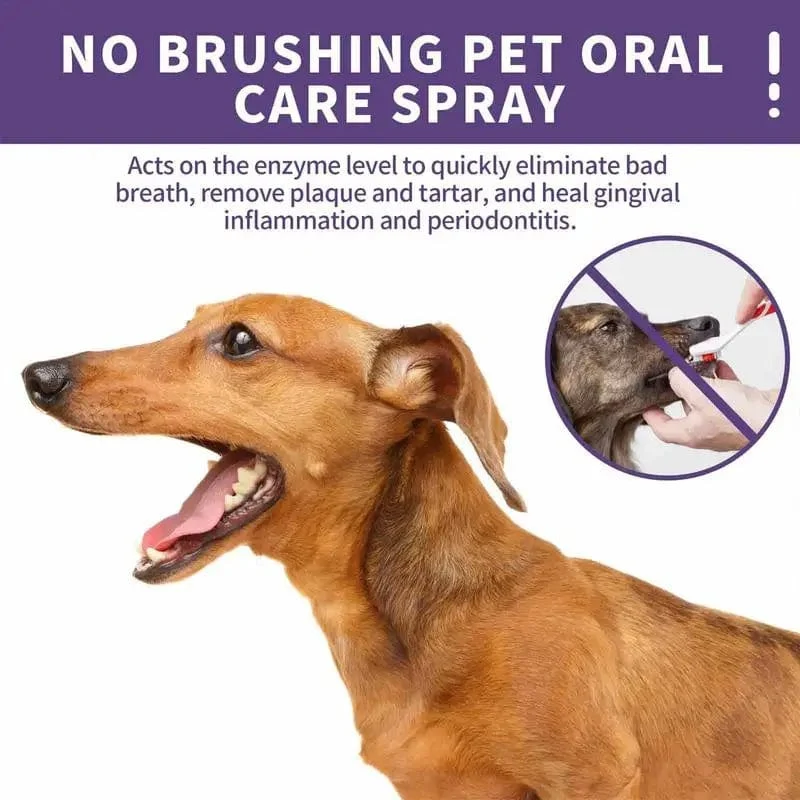 50 ml Pet Oral Cleanse Spray Hunde Katzen Zähne Sauber Deodorant Verhindern Zahnstein Entfernen Kätzchen Mundgeruch Frische Haustier liefert