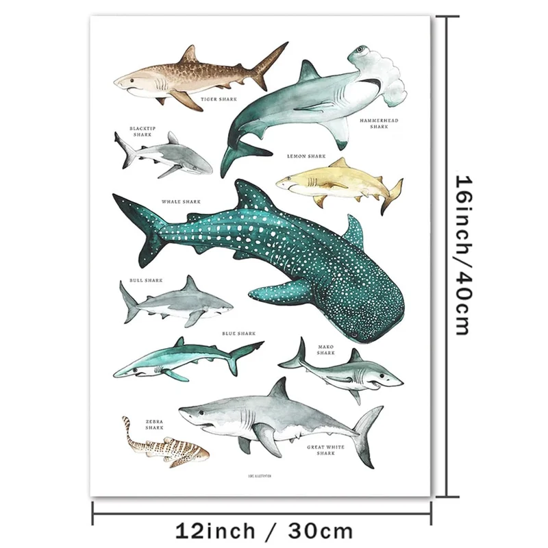 1 Stück verschiedene Hai-Leinwand-Kunst, Hai-Drucke auf Leinwand, Hai-Arten-Wandkunst-Poster, Wanddekoration für Kinderzimmer, Badezimmer, Schlafzimmer, Büro, Wohnzimmer, Heim-Wanddekoration