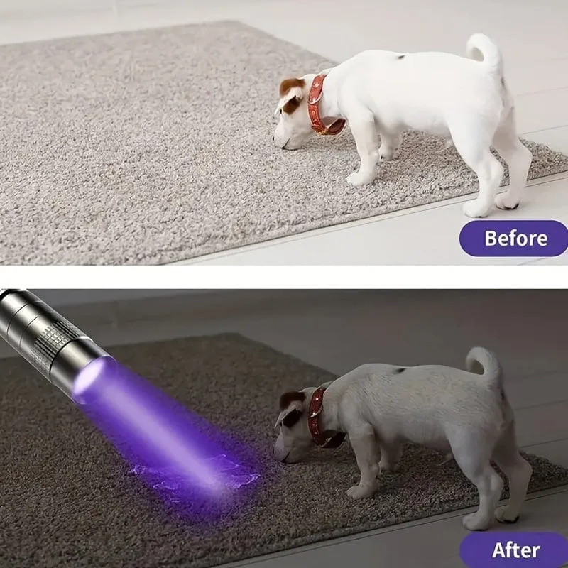 1/2 Stück 395 nm UV-Schwarzlicht-Taschenlampe, kleine tragbare Taschen-Stiftlichter für Leckagen, Haustierurin, Hotelinspektion, Trockenflecken- und Farbstoffdetektor, ultraviolette unsichtbare Tintenfackel, Erz-Geldskorpion-Erkennungslampe