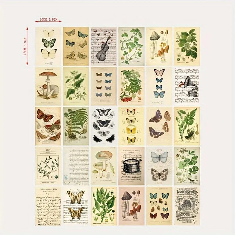 30 Stück/Set Bio-Postkarten, Botanische Abteilung, Wandaufkleber, Raumdekorationskarten, schöne Karten, 9.91 cm x 14.99 cm
