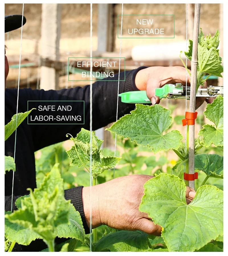 Verbessertes Pflanzenbindegerät, Tapener-Werkzeug für Trauben. Handbinde-Bindemaschine, Bindemaschine für Pflanzen und Gartenpflanzen
