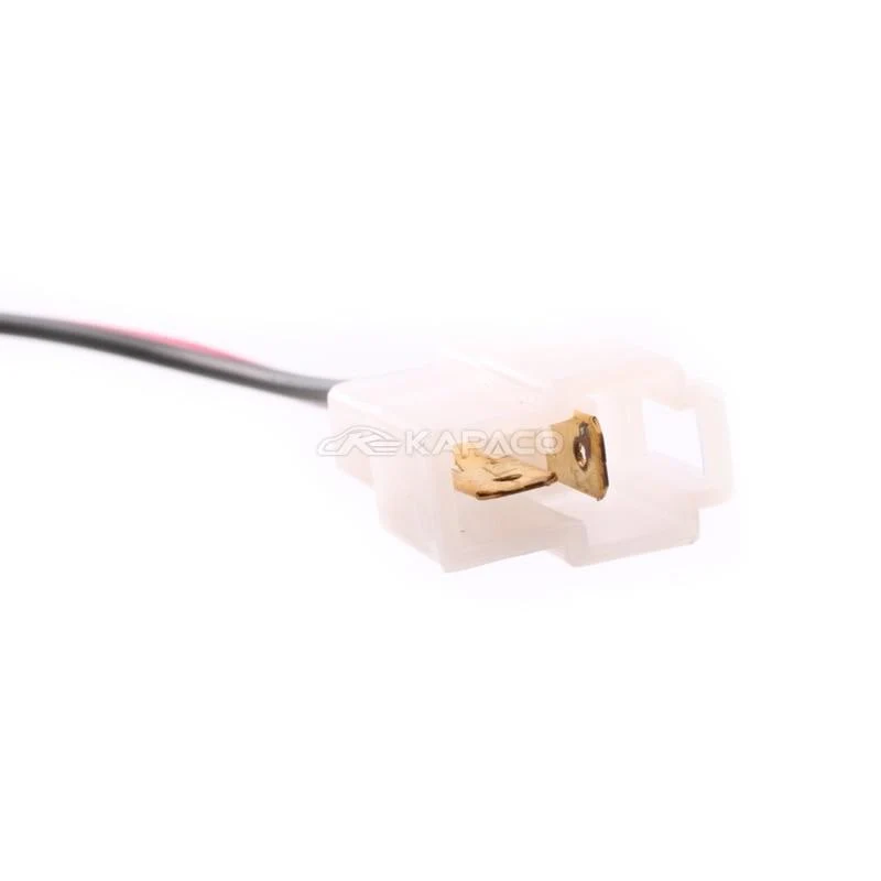 12/24V HEP-02A Universal Elektrische Kraftstoffpumpe Niederdruck Bolzen Befestigungsdraht Diesel Benzin Für Boot Vergaser Motorrad ATV Auto