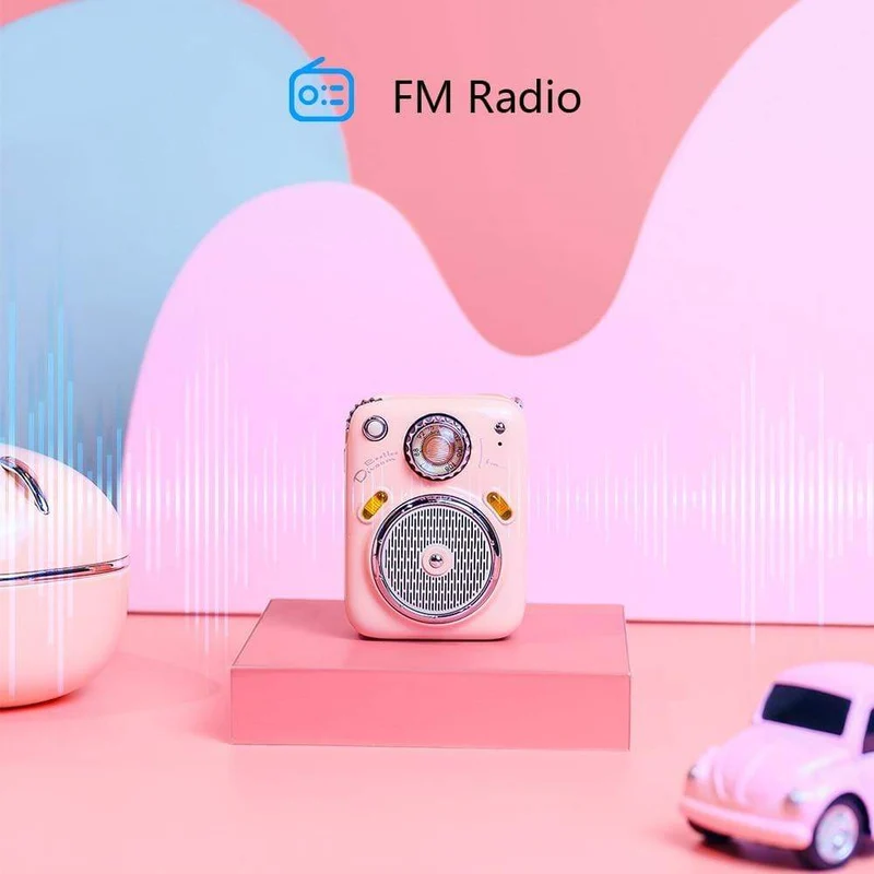 Divoom Beetles Mini-Bluetooth-Lautsprecher mit FM-Radio, süßer tragbarer kabelloser Outdoor-Lautsprecher, TF-Karte mit langer Batterielebensdauer