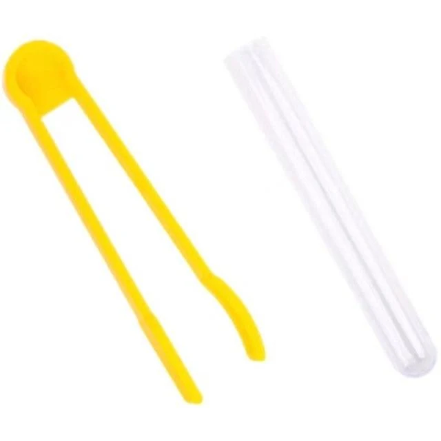 Clip Perlen Reagenzglas Spielzeug Kinder Logic Konzentration Feinmotorik Training Spiel Montessori Lehrmittel Pädagogisches Spielzeug Für Kinder