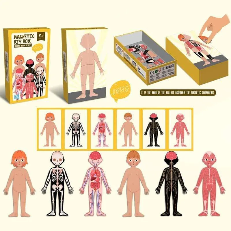 Kinder Magnetic Human Body Cognitive DIY Puzzles Früherziehung Lernspielzeug Montessori Lustiges Geschenk für Kinder Dressing Puzzle