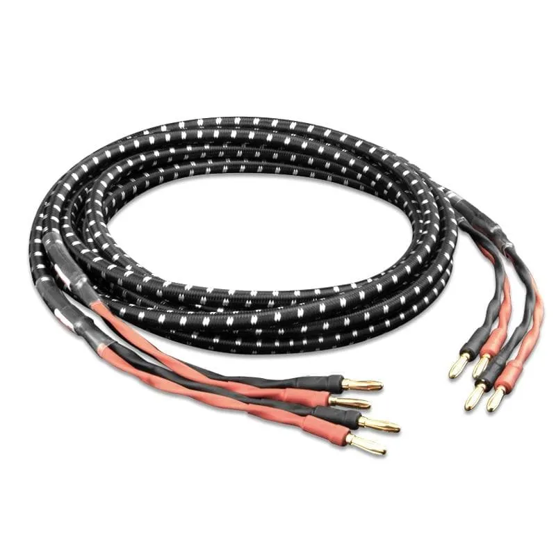 TODN HIFI-Lautsprecher-Audiokabel High-End-Stereo-Verstärkerkabel Hochreine sauerstofffreie Kupferbanane Vergoldeter Stecker pro Paar