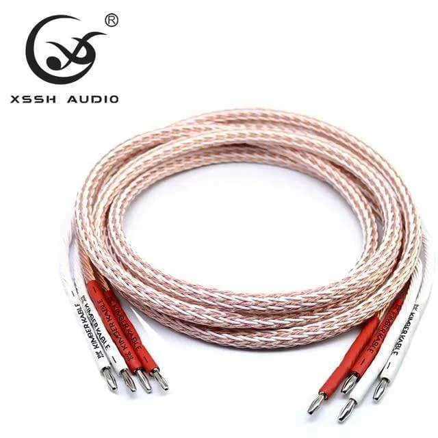 XSSH Audio Hi-End DIY HIFI versilberter Y-förmiger Spaten auf Bananenstecker 12TC 24-adriges Lautsprecherkabel