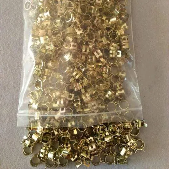 2 Stück/Lot Edelstahl 304 Schneckenantrieb-Schlauchschelle – Kraftstoffrohr-Schlauchklemmen