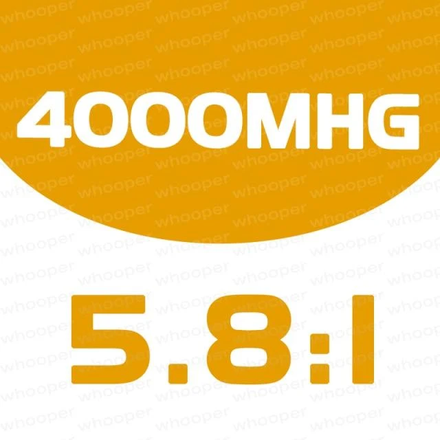 VANFORD 500 1000 C2000S C3000 4000 5000XG Serie 7+1BB Salzwasser-Spinn-Angelrolle mit niedrigem und hohem Übersetzungsverhältnis