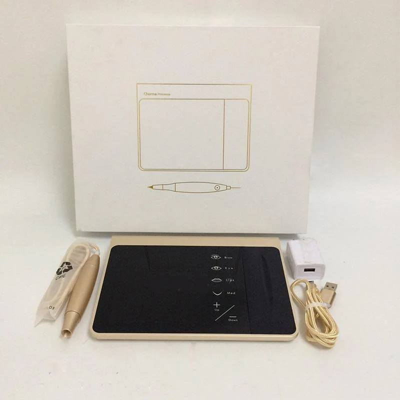 Touchscreen-Akku US / EU-Stecker Permanent Make-up-Maschinen-Kit Augenbrauen-Lippen-Eyeliner-Maschine mit 2 Patronennadeln