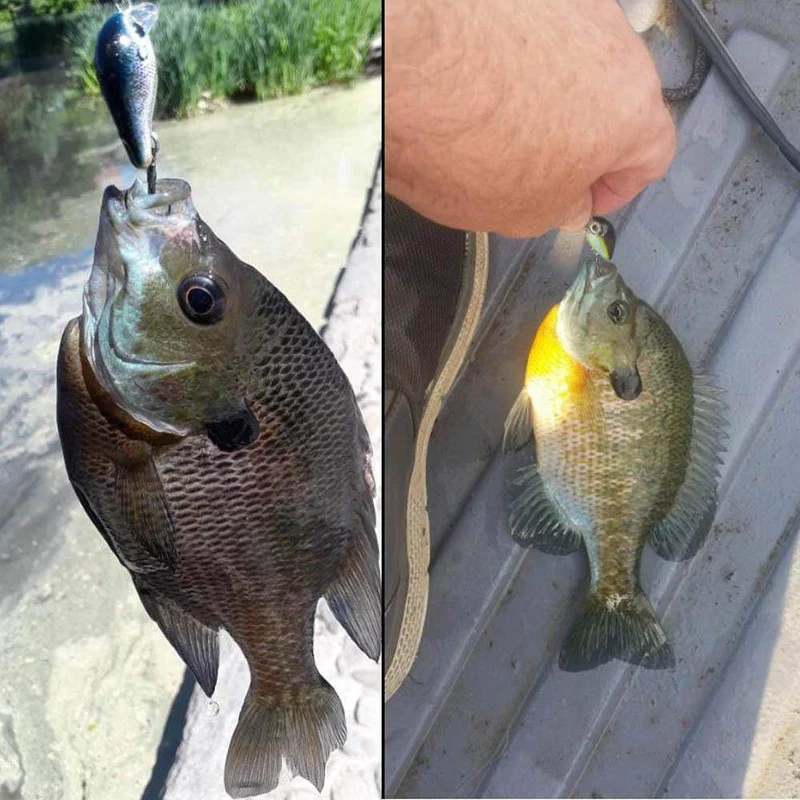 Angelköder 3cm 1.8g Crankbaits 1pcs Micro Hard Pesca Künstliche Köder Mini Köder Minnow für Hecht Bass Forelle