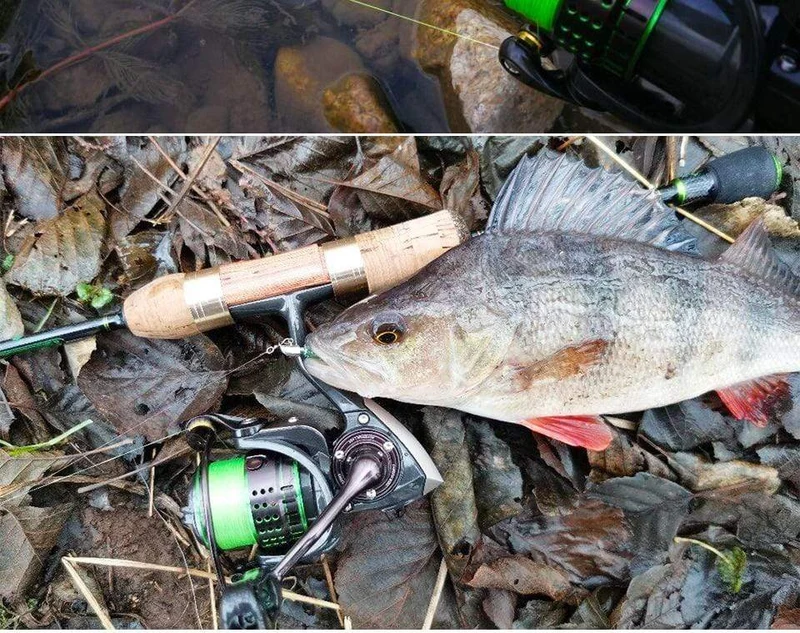 162g Ultraleicht Spinning Angelrolle Kingfisher 800 1000 1500S 1500 Beruf Köder Finesse System Trout Ajing Rad