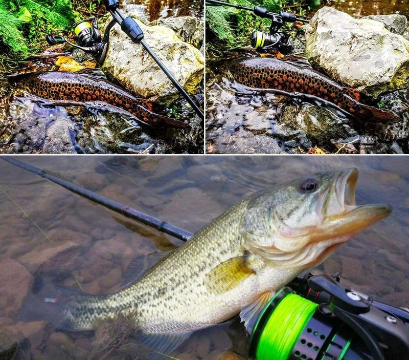 162g Ultraleicht Spinning Angelrolle Kingfisher 800 1000 1500S 1500 Beruf Köder Finesse System Trout Ajing Rad