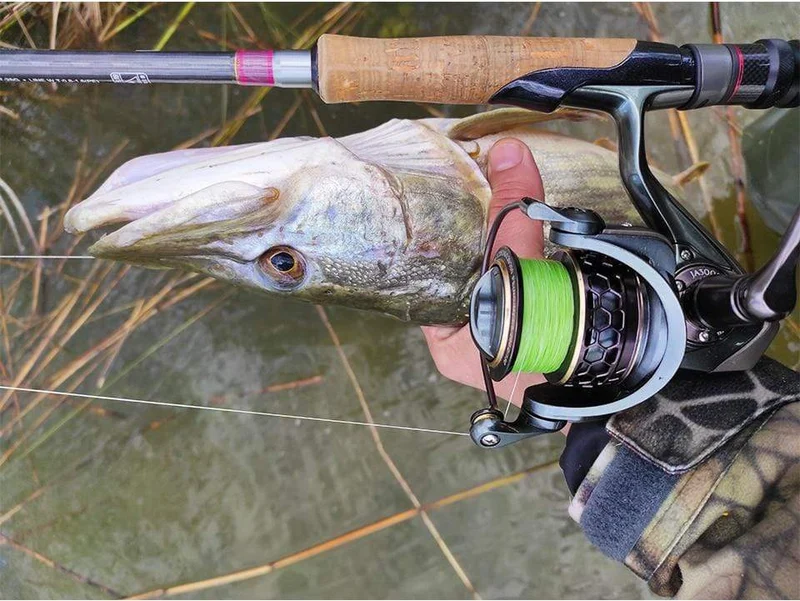 Spool Spinning Angelrolle JAGUAR 1000 2000 3000 185G 6KG Max Carbon Drag Karpfen Salzwasserrolle Bass Hecht Rad