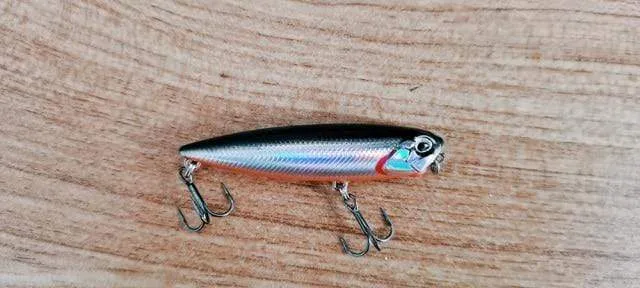 Angeln Topwater Oberfläche Realis The Pencil Popper Köder Bass Hecht Köder Walk The Dog WTD 65mm 6g 100mm 14g