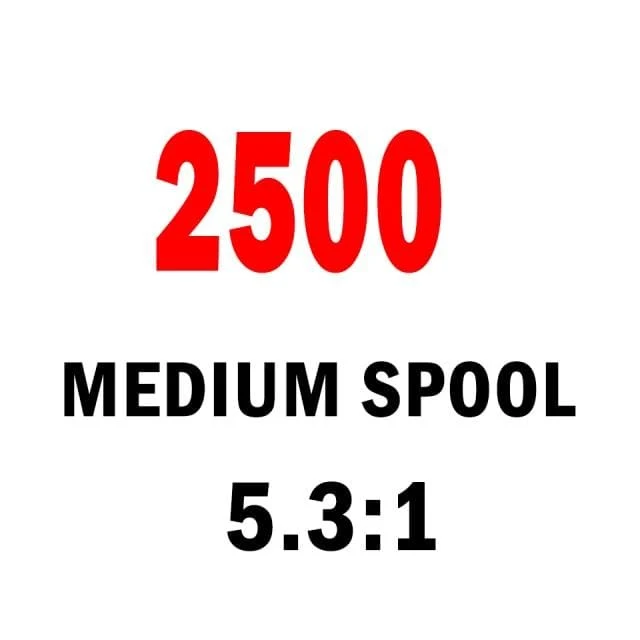 DAIWA Angelspinnrolle FUEGO CS LT 1000–6000 Angelrollen 5 kg/10 kg/12 kg Leistung 5.3:1/6.2:1 Meerwasser-Spinnrollen