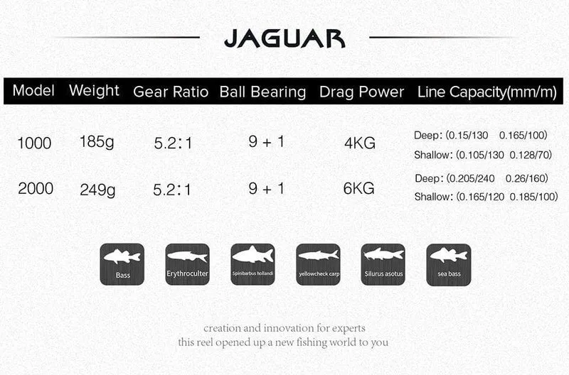 Jaguar 1000 2000 3000 9 + 1BB Angeln Spinning Reel Karpfen Salzwasser Angeln Reel Spinning Metall Griff 2 Spool Rollen Spule