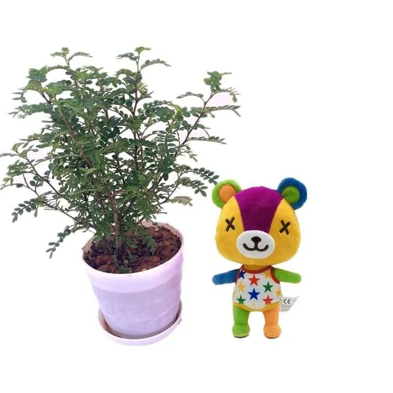 Original Animal Crossing Plüsch Cartoon Raymond KK Cartoon Figur Puppe Weiche Angefüllte Give Away Amiibo Karte Kinder Geschenk Spielzeug
