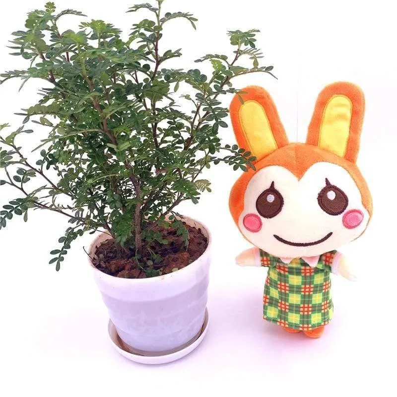 20cm 28cm Animal Crossing Plüschtier Cartoon Raymond Free Give Away 1 Stück Amiibo Karte Jingjiang Puppe KK Isabelle Plüschtier