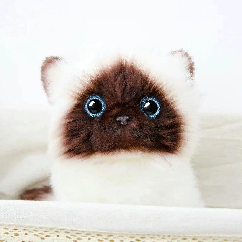 Simulation Siamese Cat Plush Toy Blaue Pailletten Augen Cat Plush Doll Braunes und weißes Gesicht Ragdoll Plüsch Cat Home Decor Doll Toys