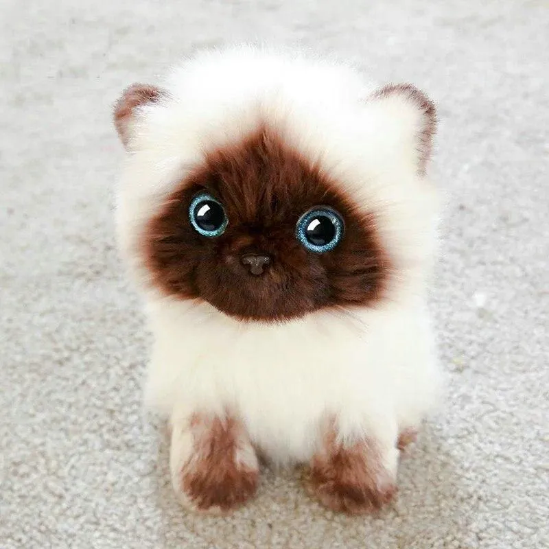 Simulation Siamese Cat Plush Toy Blaue Pailletten Augen Cat Plush Doll Braunes und weißes Gesicht Ragdoll Plüsch Cat Home Decor Doll Toys