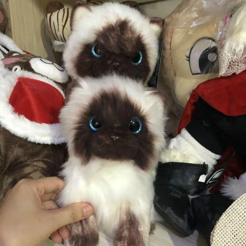 Simulation Siamese Cat Plush Toy Blaue Pailletten Augen Cat Plush Doll Braunes und weißes Gesicht Ragdoll Plüsch Cat Home Decor Doll Toys